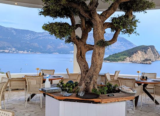 montenegro/vasojevici/restaurant/restoran-vista-vidikovac