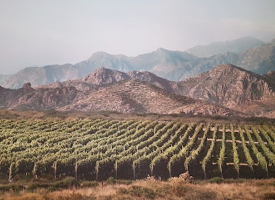 argentina/mendoza-wine-region/restaurant/bodega-los-toneles