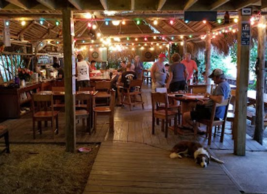 belize/stann-creek-district/restaurant/pickled-parrot
