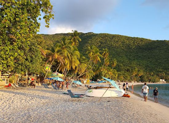 british-virgin-islands/jost-van-dyke/restaurant/myett-s-restaurant-hotel