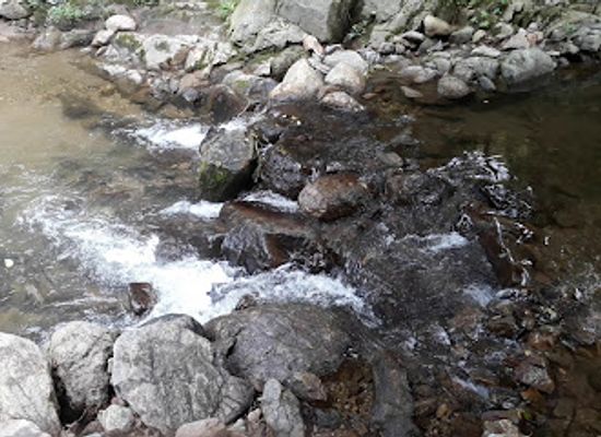 south-korea/suncheon/restaurant/Ogung-sanjang