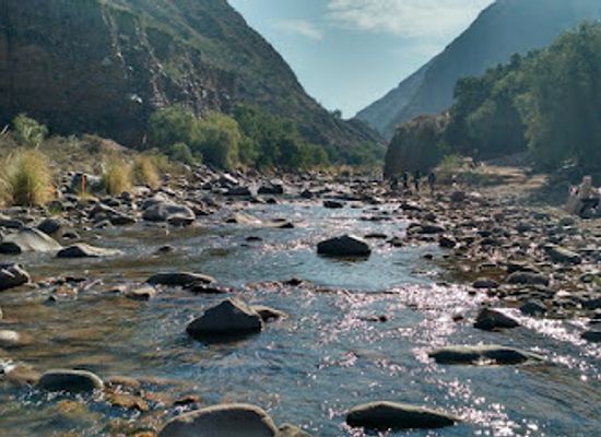 argentina/cuyo/restaurant/cordillera-vinos-y-fuegos