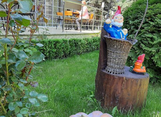 moldova/vadul-lui-voda/restaurant/vatra-elita