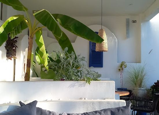 zambia/kasanka-bat-forest/restaurant/onoma-mediterranean-restaurant