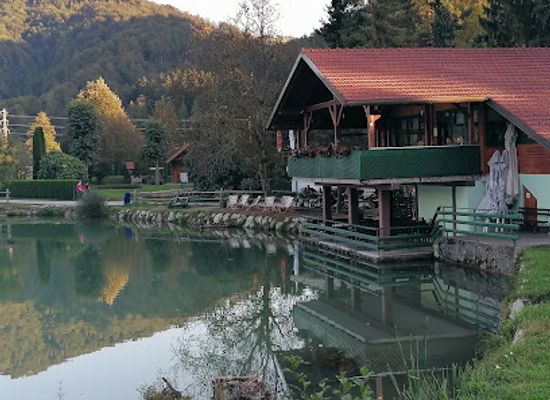 slovenia/savinja/restaurant/okrepcevalnica-ribic-mirjana-dajcer-s-p
