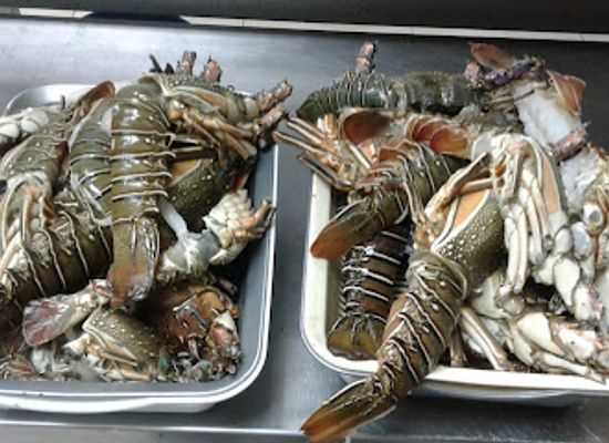 gabon/gaboon-estuary/restaurant/amigo-s-restaurant