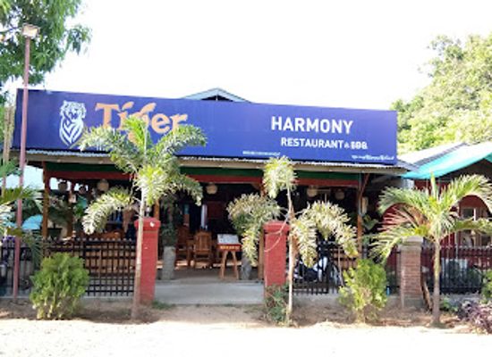 myanmar-burma/bagan/new-bagan/restaurant/harmony-htar-na-choke-restaurant-bbq