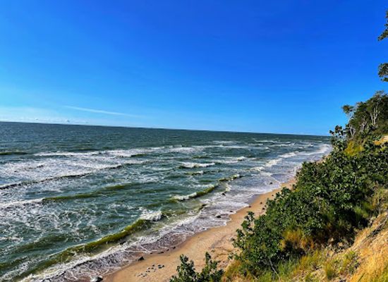 lithuania/curonian-spit-national-park/restaurant/olando-kepure