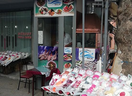 turkiye/bursa/restaurant/oz-cinar-alti-balik-lokantasi