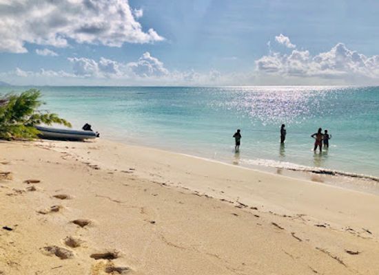 british-virgin-islands/anegada-beaches/restaurant/sid-s-pomato-point-restaurant