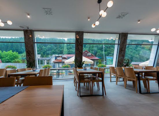 poland/pieniny-mountains/restaurant/restauracja-pod-kolejka-pkl-horeca