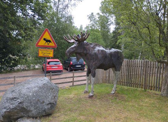 sweden/blekinge/attraction/gronasens-algpark