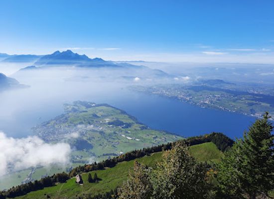 switzerland/central-switzerland/restaurant/obere-first