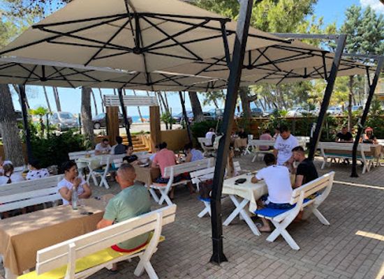 albania/lezhe/restaurant/havana-bar-restaurant