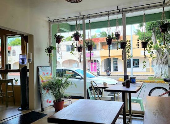 mexico/cozumel/restaurant/la-cuisine
