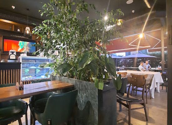 albania/lezhe/restaurant/domus-restaurant