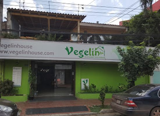 bolivia/santa-cruz-lowlands/restaurant/vegelin-house-restaurante-vegetariano