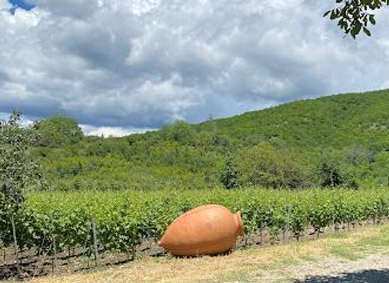 georgia/signagi/restaurant/vellino-wine-cellar