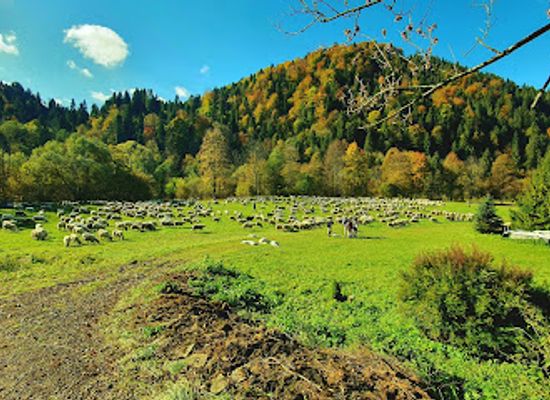 poland/pieniny-mountains/restaurant/karczma-po-goralsku-u-stasi