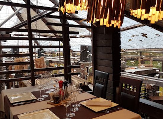 romania/prahova-valley/restaurant/forest