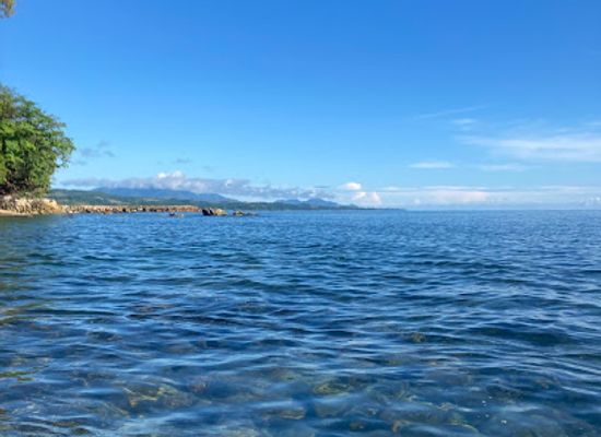 solomon-islands/uepi-island/restaurant/mambo-juice