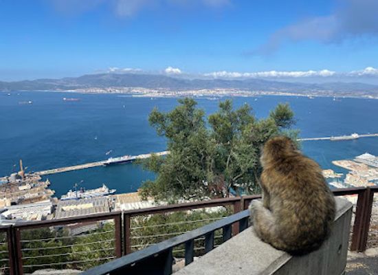 gibraltar/upper-rock-nature-reserve/restaurant/aquaterra
