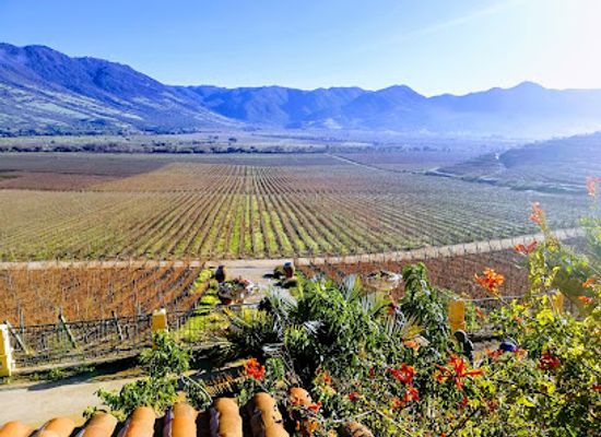 chile/central-valley/restaurant/vina-santa-cruz