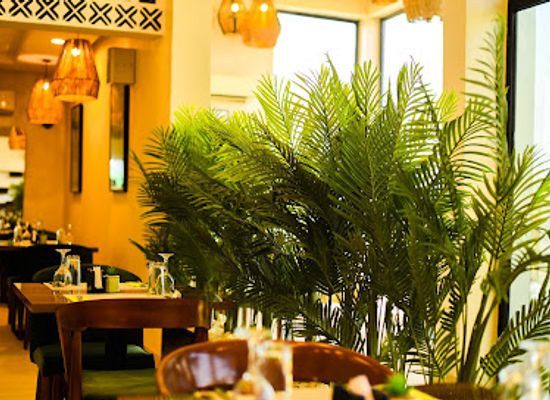 nigeria/ibadan/restaurant/shandy-s-restaurant-grill