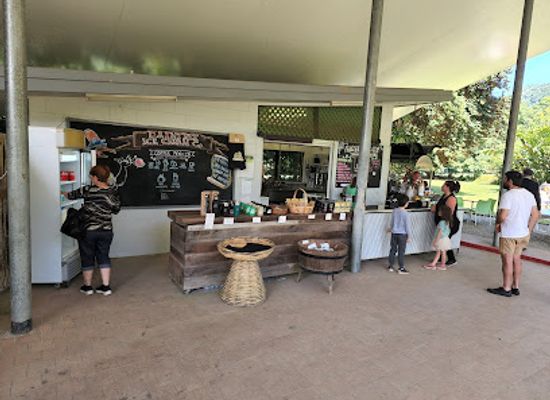 australia/cape-tribulation/restaurant/daintree-ice-cream-company