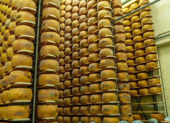 italy/modena/restaurant/caseificio-bio-reggiani