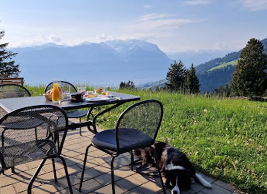 liechtenstein/gamprin-region/restaurant/hotel-restaurant-berghaus-malbun-buchserberg