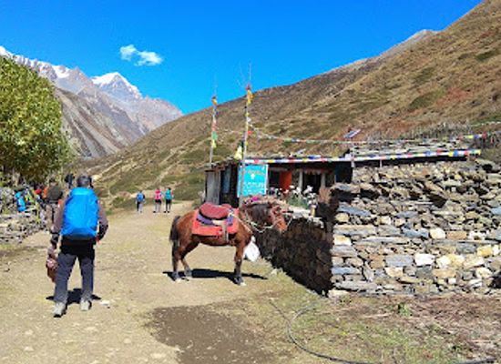 nepal/dolpo/restaurant/raju-restaurant