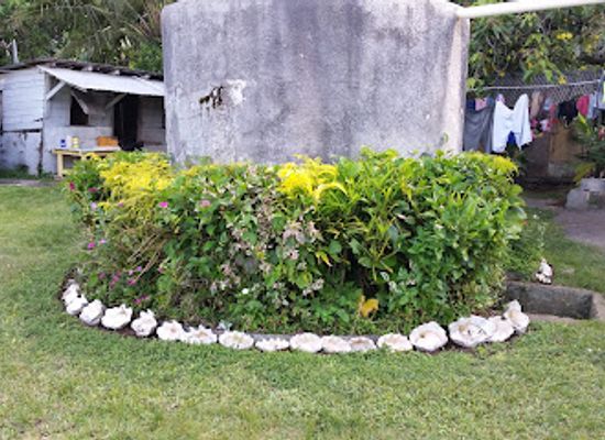 tonga/lifuka/restaurant/pot-luck-restaurant