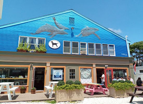 massachusetts/provincetown/restaurant/kung-fu-dumplings
