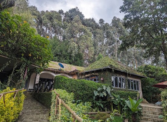 rwanda/musanze-caves/restaurant/peakspot-lodge