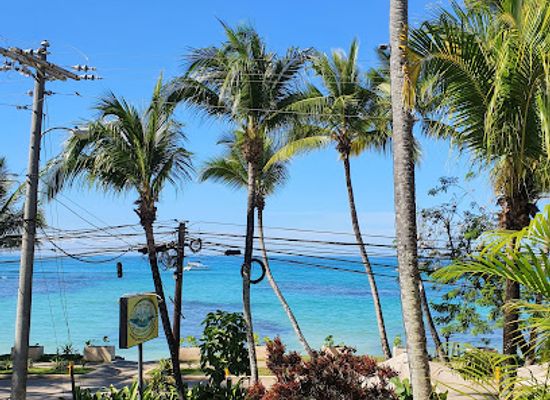 dominican-republic/las-terrenas/restaurant/le-tre-caravelle