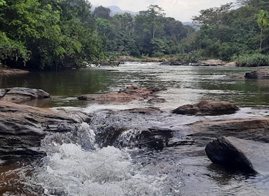 sri-lanka/kitulgala/restaurant/river-reach-restaurant