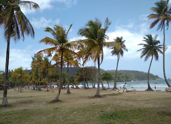 trinidad-and-tobago/san-juan-laventille/restaurant/uncle-sam-sons-bake-shark