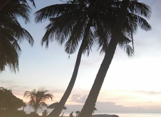 maldives/laamu-atoll/restaurant/ahariyaas-open-kitchen