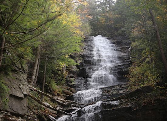 vermont/green-mountains-national-forest/restaurant/green-mountain-national-forest