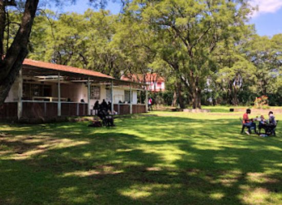 kenya/lake-nakuru-national-park/restaurant/kijani-kafe-bar-and-restaurant