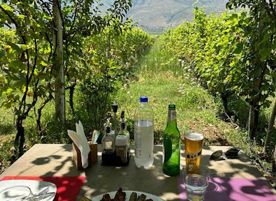 albania/laberia/restaurant/the-barrels-ms-te-fucite