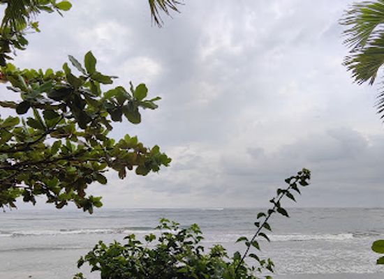 indonesia/bengkulu/restaurant/kane-food-x-zona-makan-bengkulu