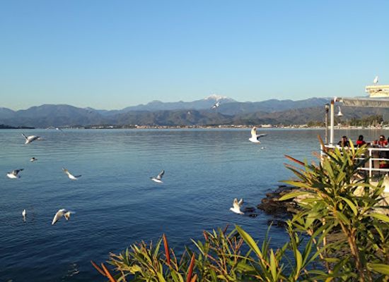 turkiye/fethiye/restaurant/olive-garden-restaurant