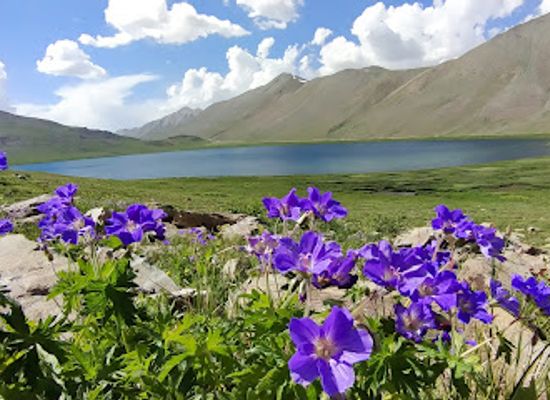 pakistan/deosai-national-park/restaurant/deosai-top-sadpara-broque