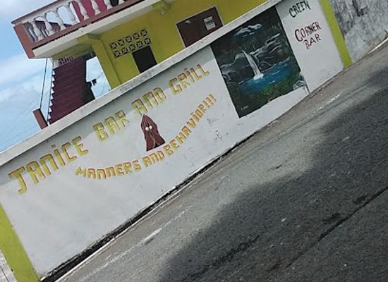 saint-vincent-and-the-grenadines/saint-patrick/restaurant/jaince-bar-and-grill