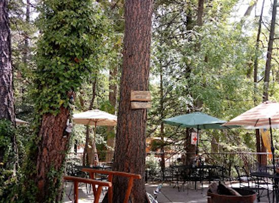 arizona/mogollon-rim/restaurant/landmark-at-the-creek