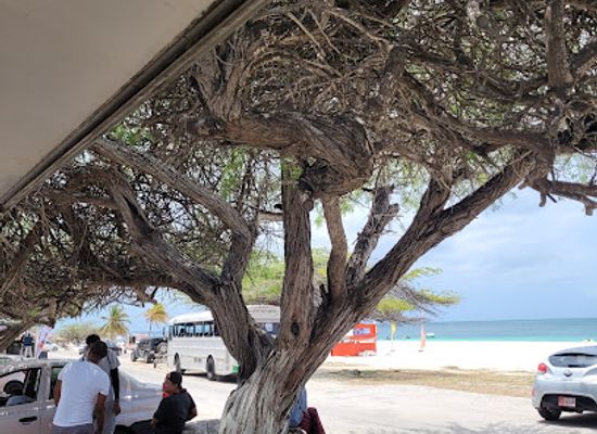 aruba/eagle-beach/restaurant/truck-di-mama