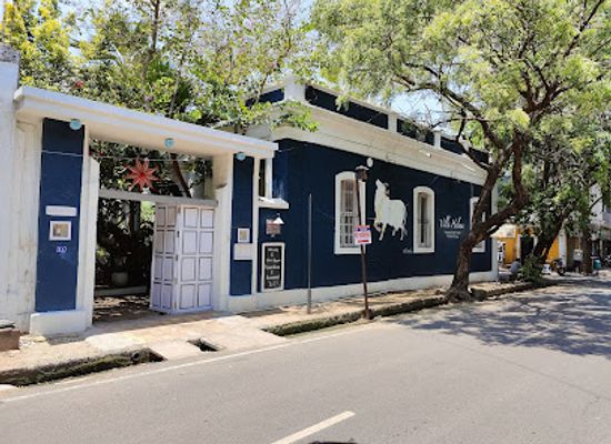 india/pondicherry/white-town/restaurant/kamatchi-non-veg-restaurant-white-town-branch