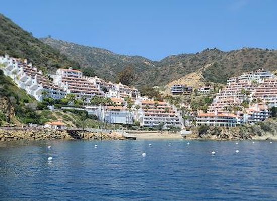 california/south-coast/restaurant/descanso-beach-club